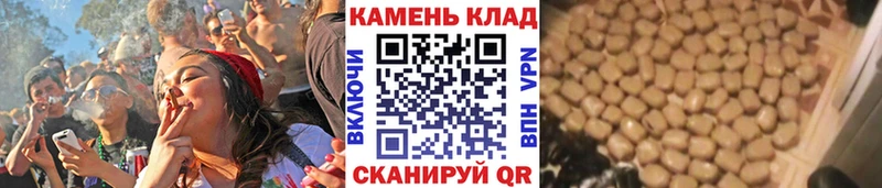 ГАШИШ Ice-O-Lator  Томмот 